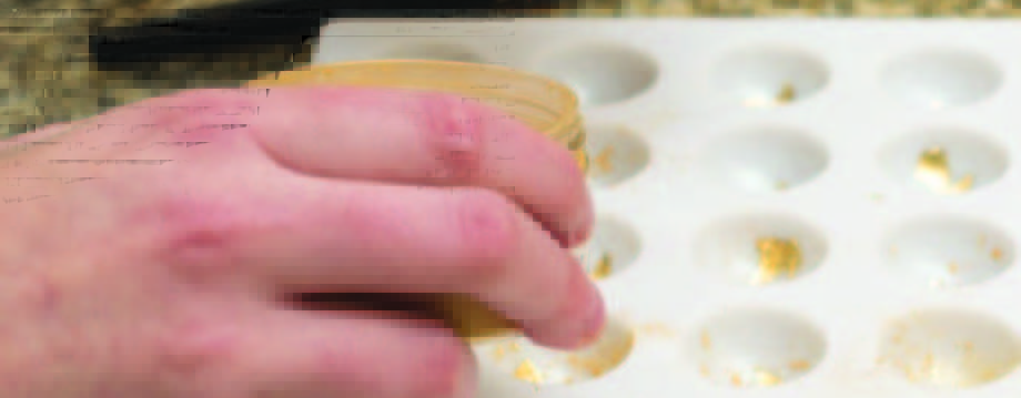 Ferment issue 24_HR_Page_12_Image_0001