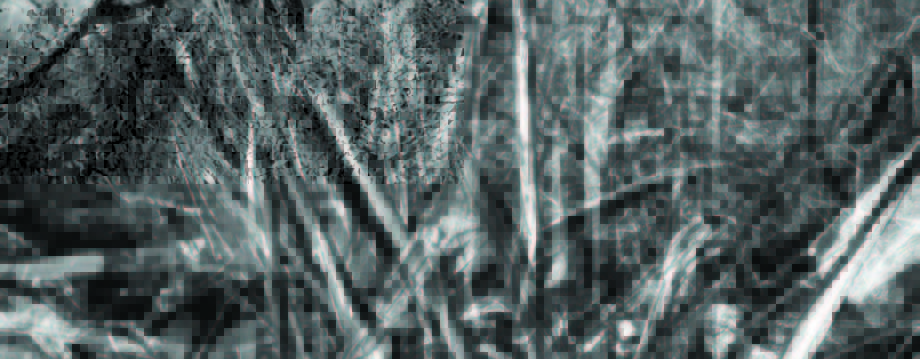 Ferment issue 24_HR_Page_09_Image_0002