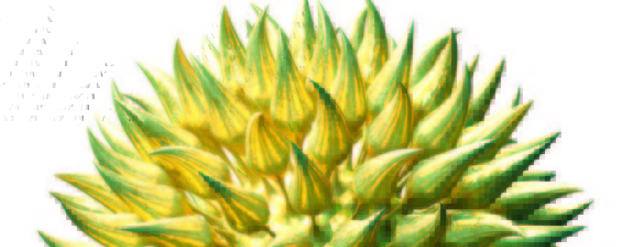 Ferment issue 24_HR_Page_16_Image_0003