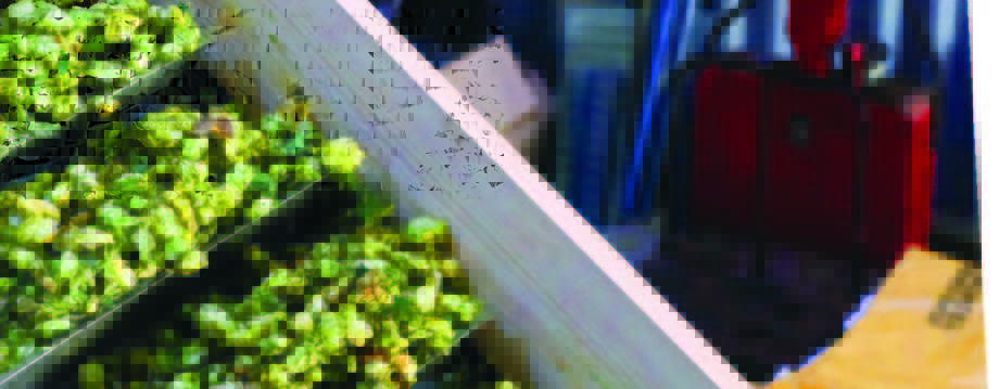 Ferment issue 24_HR_Page_06_Image_0002